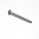 3/4 view of screw
