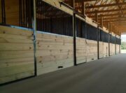 horse stalls