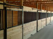 horse stalls