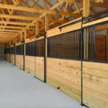 horse stalls