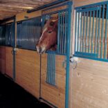 horse stalls