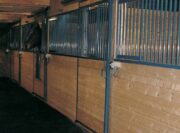 horse stalls