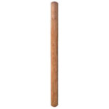 CCA Pressure-Treated Pine Posts