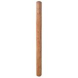 CCA Pressure-Treated Pine Posts