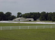 White 5.25in Flex Fence 3 Wire (31)