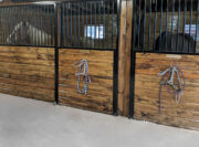 cambridge horse stalls