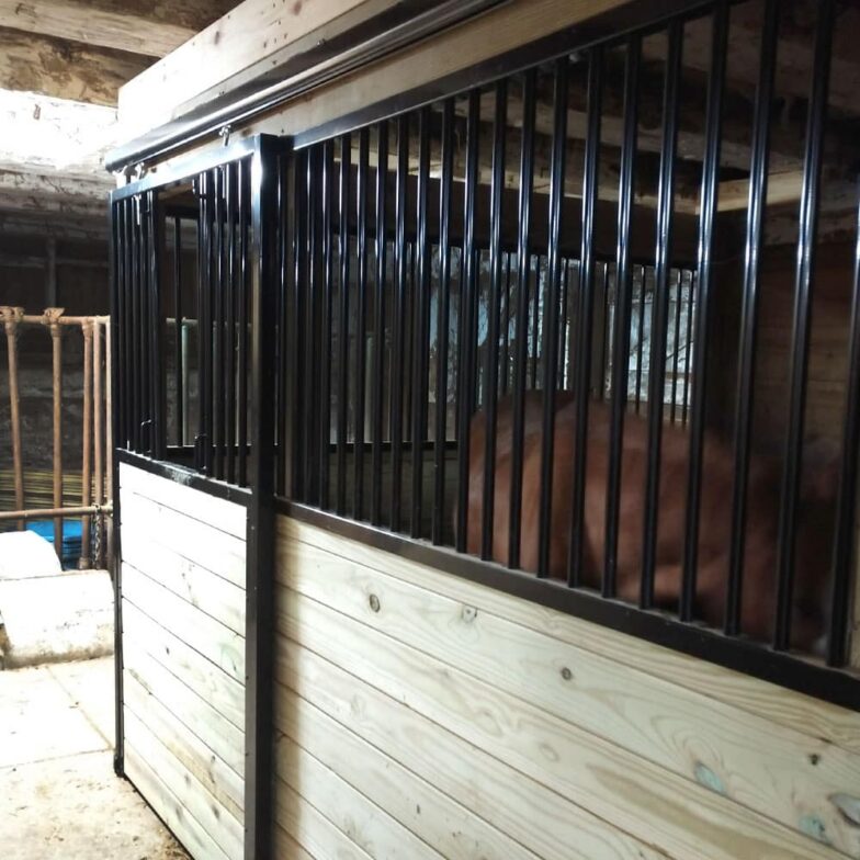 cambridge_41 cambridge horse stalls