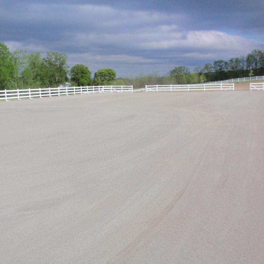 drag_10.jpg drag_10.jpg