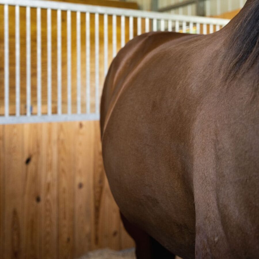 dublin-partition1.jpg dublin-partition1.jpg