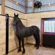 Agricultural basket fan installed in horse barn