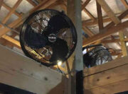 fan_07