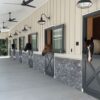 glass-dutch-door-03.jpg