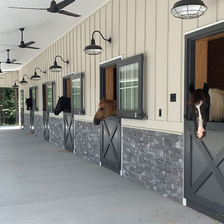 glass-dutch-door-03.jpg glass-dutch-door-03.jpg