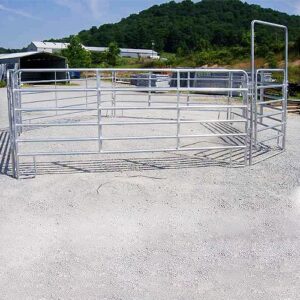 Side view from round pen