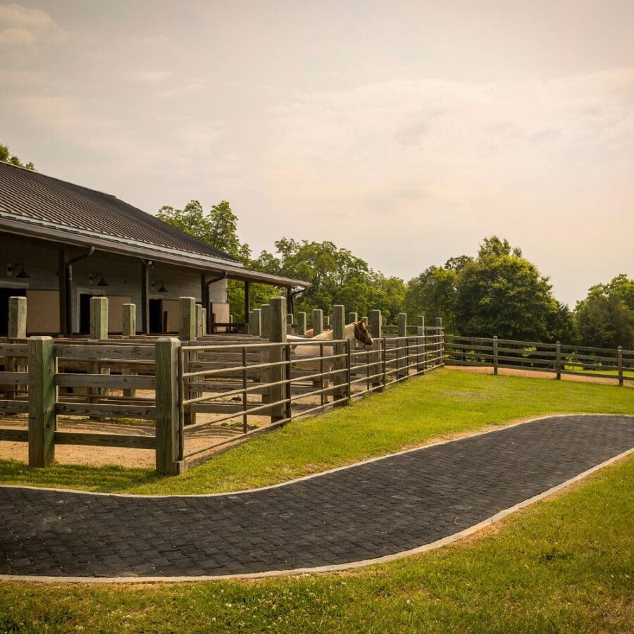 paver-002.jpg paver-002.jpg