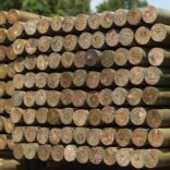 Pine Post Stacked