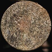 Yellow Pine Post End