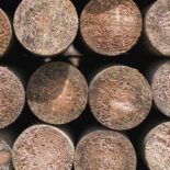 fence posts
