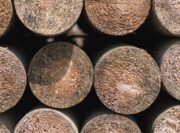 fence posts