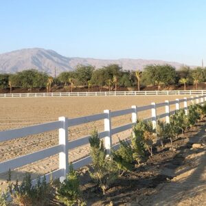 PVC Horse Fence